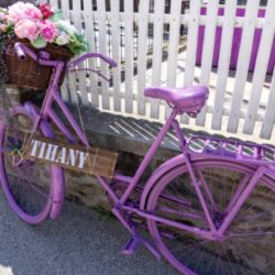 TIHANJ-FESTIVAL LAVANDE- 3 dana/1 noćenje